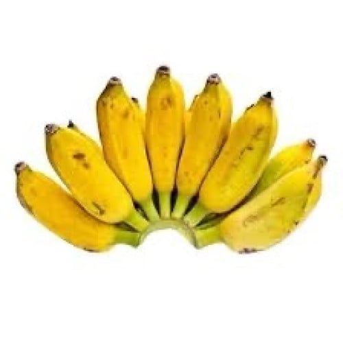ត្រូវការដៃគូចែកចាយ