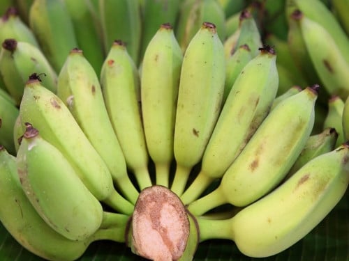 ត្រូវការដៃគូចែកចាយ