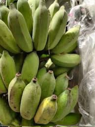 ត្រូវការដៃគូចែកចាយ