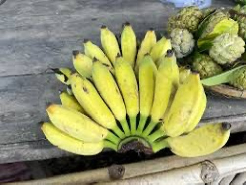 ត្រូវការដៃគូចែកចាយ