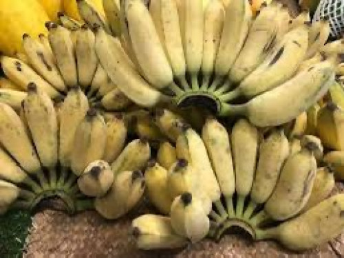 ត្រូវការដៃគូចែកចាយ