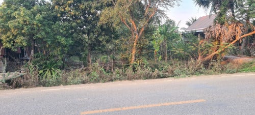 ដីជាប់ផ្លូវកៅស៊ូ