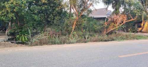 ដីជាប់ផ្លូវកៅស៊ូ