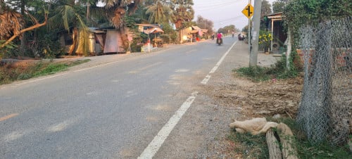 ដីជាប់ផ្លូវកៅស៊ូ