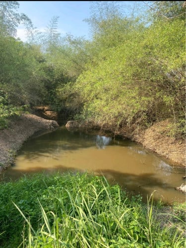 ដីលក់ក្រោមហាងឆេង
