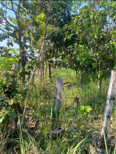 ដីលក់ក្រោមហាងឆេង
