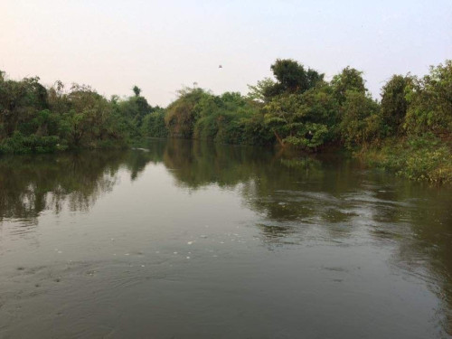 ដីលំហែជាប់ស្ទឹងព្រែកត្នោត ស្រុកឱរ៉ាល់ ខេត្តកំពង់ស្ពឺ សម្រាប់លក់ 4.5$/ម៉ែត្រការ៉េ (អាចចរចាបាន)