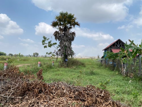 ដីនៅសង្កាត់វាលស្បូវ 500ម៉ែតការ៉េ