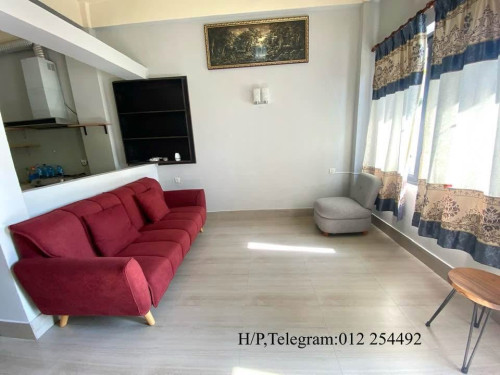 Big Unit Fully Furnished Apartment for Rent