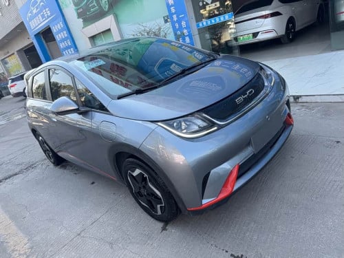 BYD Dolphin 420km Freedom Edition