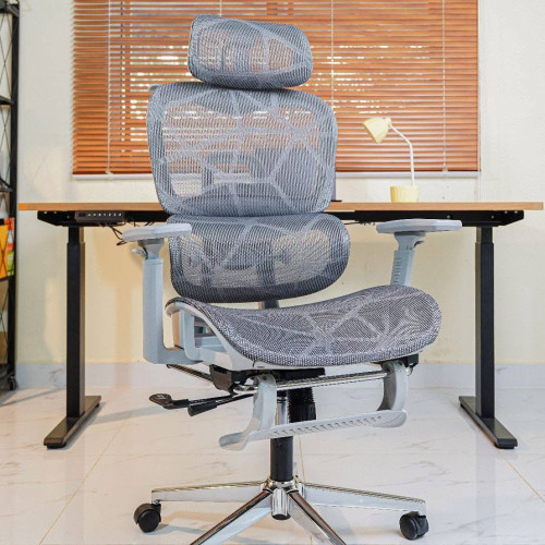 Ergonomics Chair