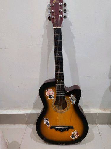 Guitar