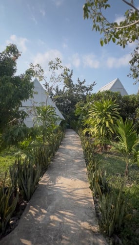 🔥☄️តម្លៃពិសេស!🤙📞  Land & a mini Resort Sale Hot Price