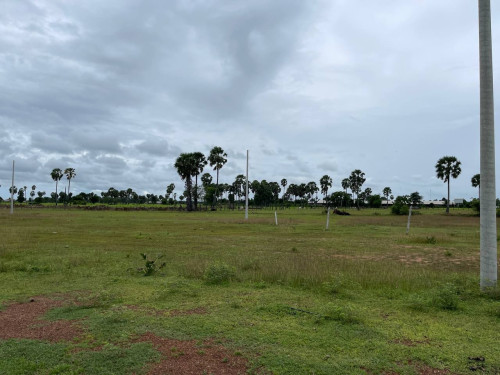 Land for sales