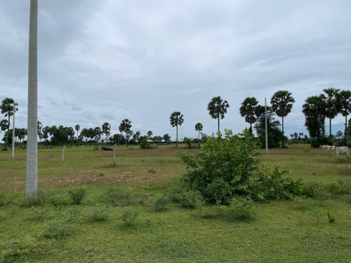 Land for sales