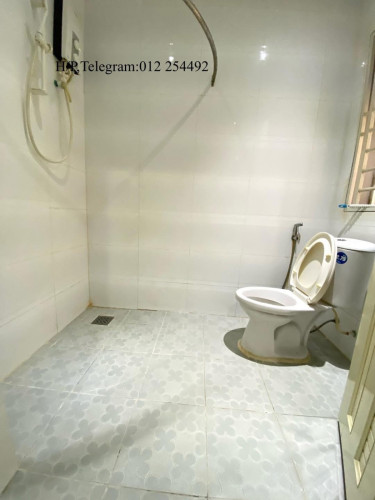 Nice Fully Furnished Apartment for Rent