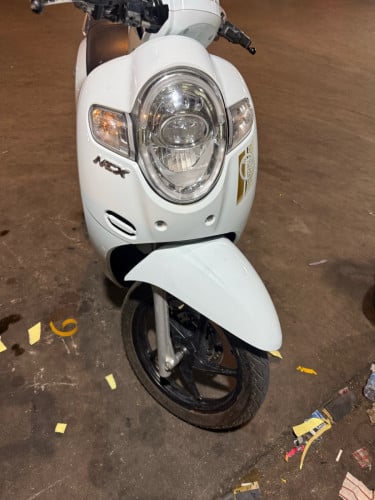 Scoopy i