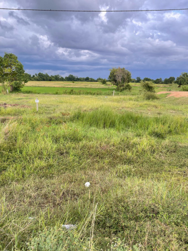 ដីលក់