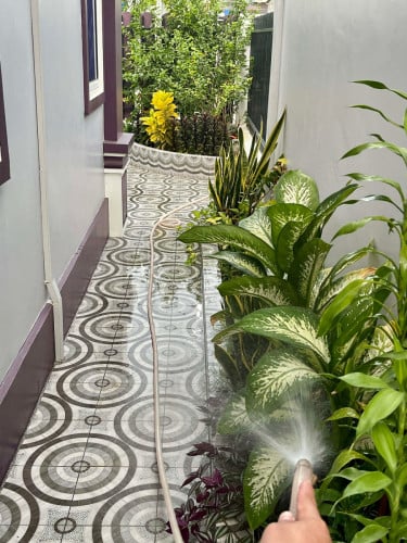 ផ្ទះលក់ក្រោយផ្សារភួពុយ