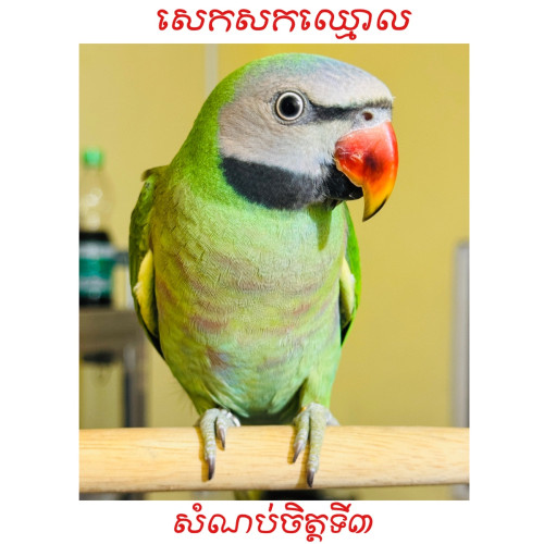 សេកសក​កម្ពុជា​🇰🇭