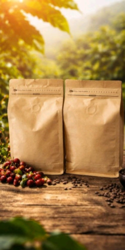 Arabic & Robusta 100%