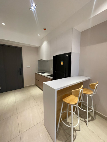Condo rent Toul Kork
