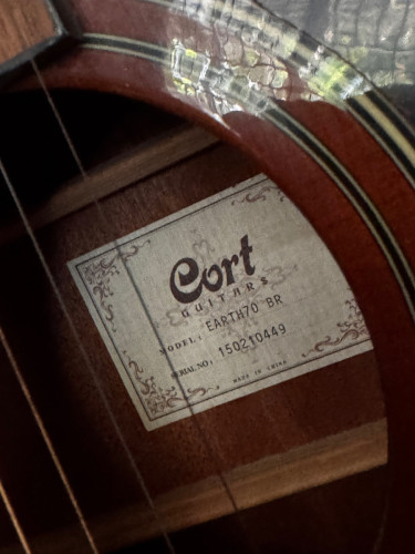 Guitar