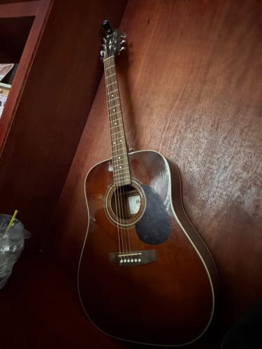Guitar