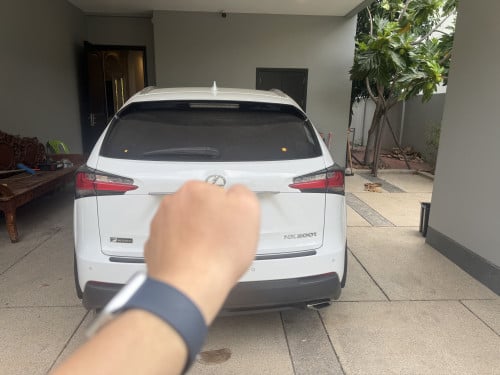 NX200T Fsport