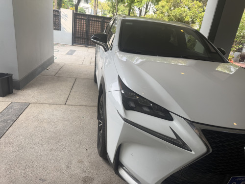 NX200T Fsport