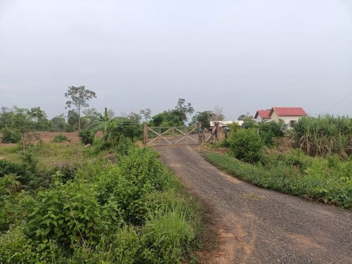 ដីលក់៤៣ហិចតានៅលើផ្លូវជាតិលេខ៦៤(ចន្លោះប្រសាទកោះកេរ្ត៏នឺងភ្នំគូលែន)