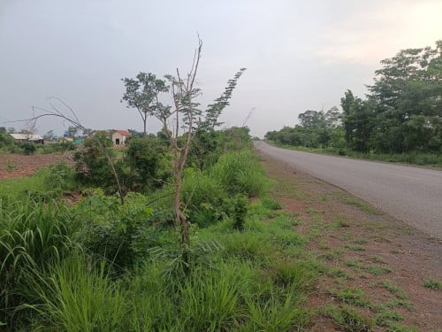 ដីលក់៤៣ហិចតានៅលើផ្លូវជាតិលេខ៦៤(ចន្លោះប្រសាទកោះកេរ្ត៏នឺងភ្នំគូលែន)