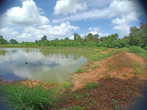 ដីលក់៤៣ហិចតានៅលើផ្លូវជាតិលេខ៦៤(ចន្លោះប្រសាទកោះកេរ្ត៏នឺងភ្នំគូលែន)