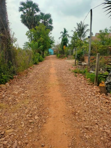 Land