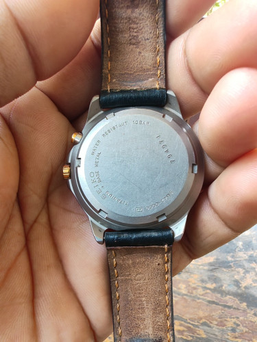 Seiko Titanium