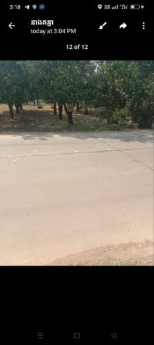 ដីលក់