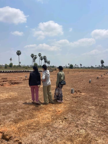 ដីលក់នៅ ច្បាមន