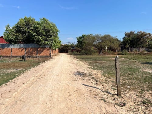 ដី 10m x 30m ប្លង់រឹង លក់
