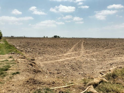🏦Land Available for Urgent Sale at a Special Price (Negotiable).