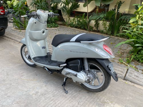 Honda scoopy.I updated 2024