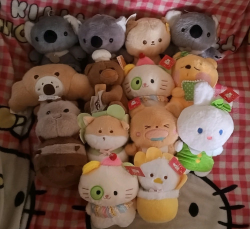 New dolls and blind box