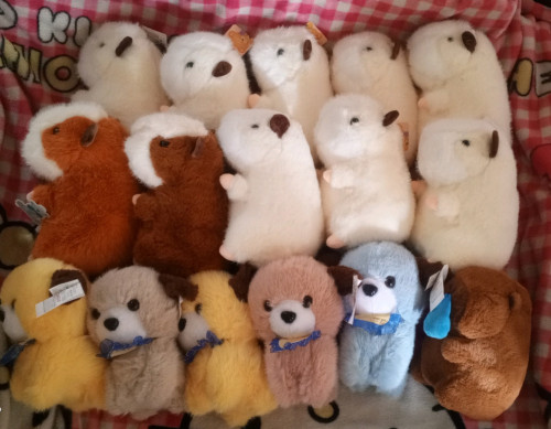 New dolls and blind box