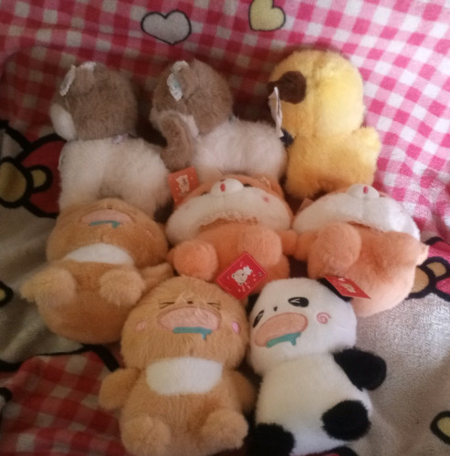 New dolls and blind box