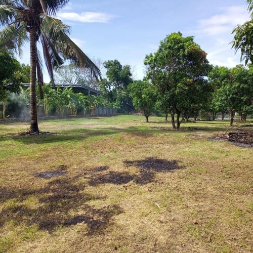 Rare Riverfront Land in Kampot | Best for developing resort or boutique hotel