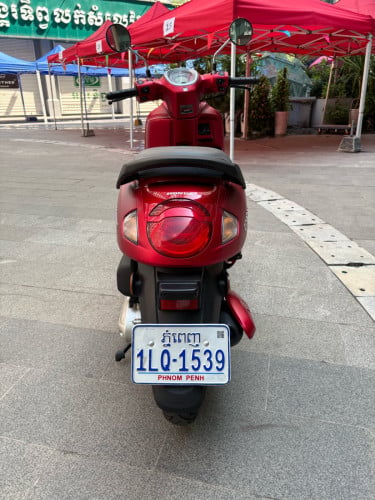 Scoopy 2025