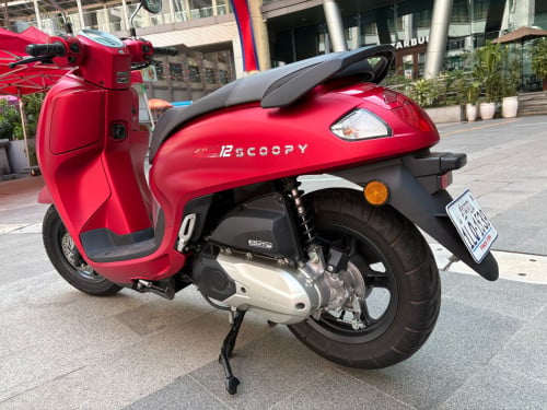 Scoopy 2025