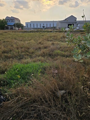 ដីឡូដ៍លក់ លក់ប្រញាប់