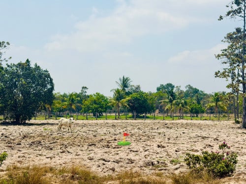 ដីលក់ជាប់ផ្លូវគ្រួសក្រហម