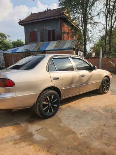លក់ប្រញាប់ដូរស៊េរី