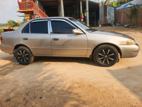 លក់ប្រញាប់ដូរស៊េរី